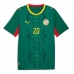 Camiseta Senegal Habib Diallo #20 Segunda Equipación Replica Mundial 2026 mangas cortas